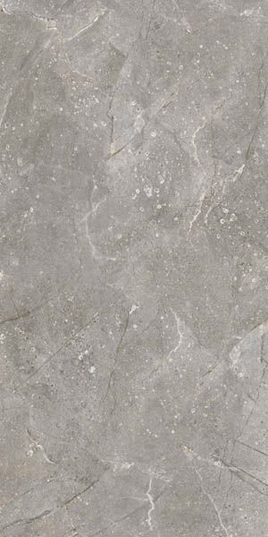 Керамогранит Dedalo Ceniza R 59.3x119.3 от Vives Ceramica (Испания)