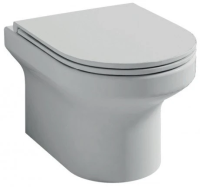 Унитаз подвесной с сиденьем микролифт Jacob Delafon Elite EDX114RU-00 безободковый