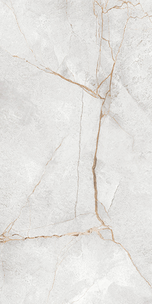 Керамогранит Special Marmo Gray полированный (60120PEC15P) 60x120 от LCM (Индия)