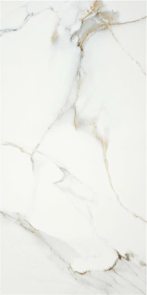 Керамогранит P.E. Lumiere natural mt rect 60x120 от STN Ceramica (Stylnul) (Испания)