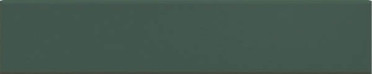 Настенная плитка PLINTO GREEN MATT 10.7x54.2 от DNA Tiles (Испания)