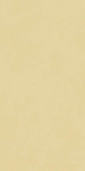 Керамогранит Design Colors Blossom Sun Matt (N12037) 60x120 от Neodom (Индия)