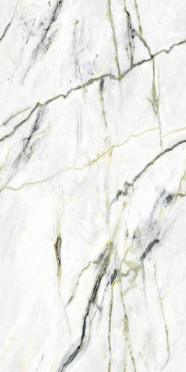 Керамогранит Splendida Calacatta Green (Book) Polished (N40012) 60x120 от Neodom (Индия)