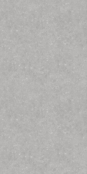 Керамогранит Bluestone Light 20мм 59.7x119.7 от Ocean Ceramic (Иран)