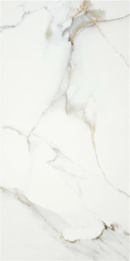 Керамогранит P.E. Lumiere natural mt rect 60x120 от STN Ceramica (Stylnul) (Испания)