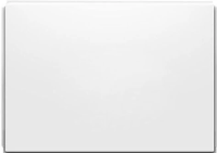 Боковая панель для ванны Ravak Classic, Vanda II, Domino, Domino Plus 70 универсальная CZ00110A00