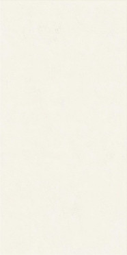 Керамогранит FLORALIA LYS RECT (0008228) 60x120 от Ariana (Италия)