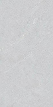 Керамогранит Cateye Light Grey grains soft-polished mould (BHW-0023) 60x120x10 от Basconi Home (Китай)