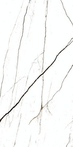 Керамогранит C2A A05T 000E Elegance White Semi Polished Rectified 59.7x119.8 от Goldis Tile (Иран)