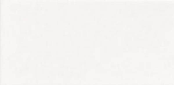 Настенная плитка BLANCO LISO BRILLO 10x20 от Mainzu (Испания)