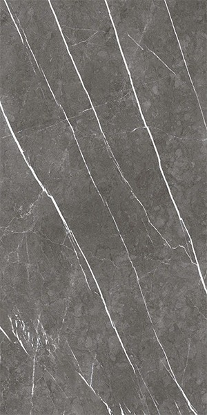 Керамогранит MUSEUM GREYSTONE Argent/EP (23459) 60x120 от Museum (Испания)