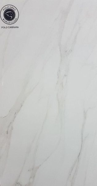 Керамогранит Polo Carara 60x120 от Polo Gres (Индия)