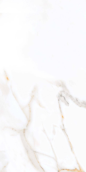 Керамогранит Regal Carara Polished (PR203) 60x120 от Primavera (Индия)