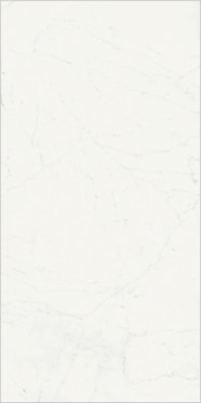 Керамогранит CHA.DEL.B.MICHEL. RET (610010001920) 80x160 от Italon (Россия)