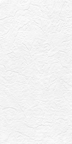 Керамогранит Snow White Stone (Punch) FULL BODY 60x120 от Maimoon Ceramica (Индия)