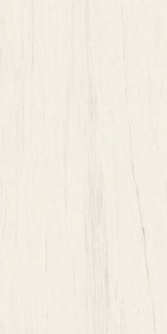 Керамогранит Marvel Stone Bianco Dolomite Lappato (A7GE) 75x150 от Atlas Concorde (Италия)