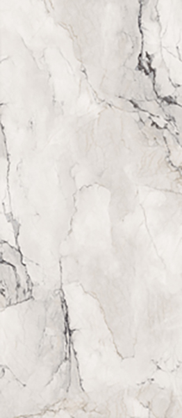 Керамогранит Aesthetica AE CAM6 278 LPM (AECAM6278LPM) 120x278 от La Faenza (Италия)