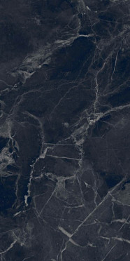 Керамогранит Nocturne Nero 9 mm FLPR (K2730ZN9P0510) 60x120 от Villeroy & Boch (Германия)