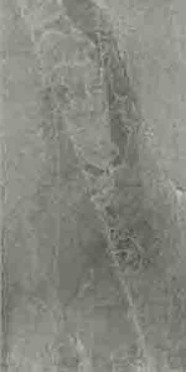 Керамогранит X-ROCK12G 60x120 от Imola Ceramica (Италия)