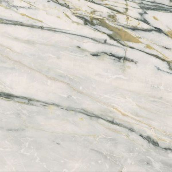 Керамогранит EPOQUE 21 CALACATTA BAMBOO ANT R (PF60009349) 60x60 от Ariana (Италия)