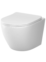 Унитаз подвесной с сиденьем микролифт AM.PM Like C801900SC безободковый