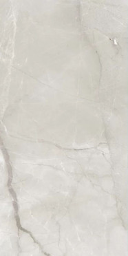 Керамогранит Fish Maw Ash Digital Carving 60x120 от Best Ceramic (Индия)