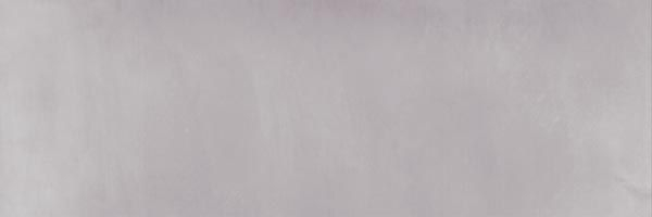 Настенная плитка Baffin Gray Dark (WT15BFN25R) 24.6x74 от Delacora (Россия)