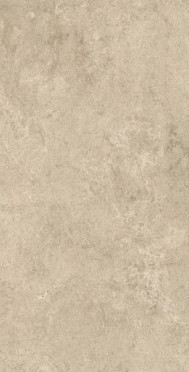 Керамогранит Lims Grey 20 mm (A3LW) 60x120 от Atlas Concorde (Италия)