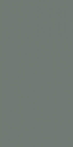 Настенная плитка MONTMARTRE VERT Rect 60x120 от Baldocer (Испания)