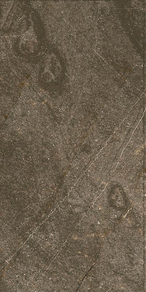 Керамогранит Baron Brown 60x120 от Ocean Ceramic (Иран)