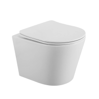 Унитаз подвесной с сиденьем микролифт BelBagno Flay-R BB053CHR/SC безободковый