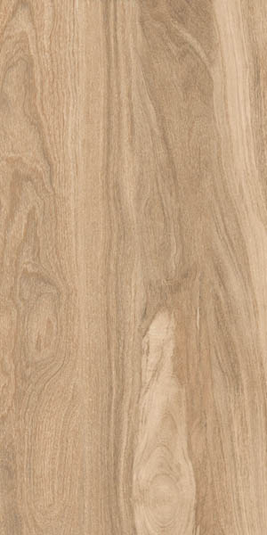Керамогранит TAIGA DARK MATT+CARVING IT (ITL84094) 60x120 от Gresant (Индия)