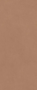 Настенная плитка Boost Expression Sienna (AYR9) 50x120 от Atlas Concorde (Италия)