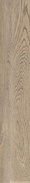 Керамогранит POETRY WOOD OAK R11 RETT 20x120 от ABK Ceramiche (Италия)