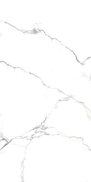 Керамогранит Acothly Matt (NR219) 60x120 от Primavera (Индия)