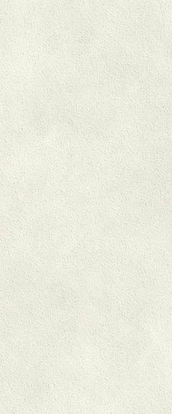 Настенная плитка Boost Expression Grain Glow (AYTT) 50x120 от Atlas Concorde (Италия)