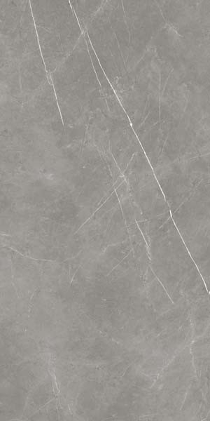 Керамогранит Forte Dei Marmi Elegant Grey Polished (610015000665) 80x160 от Atlas Concorde (Россия)