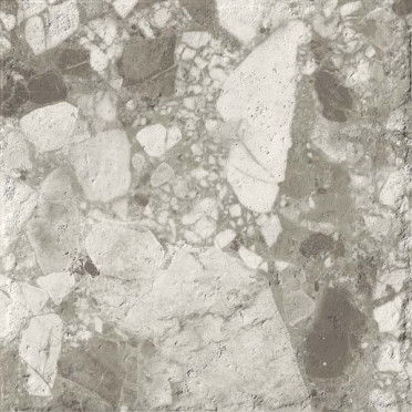 Керамогранит Forte Dei Marmi Ceppo Ap. Pearl LASTRA 20mm PS (610010002726) 60x60 от Atlas Concorde (Россия)