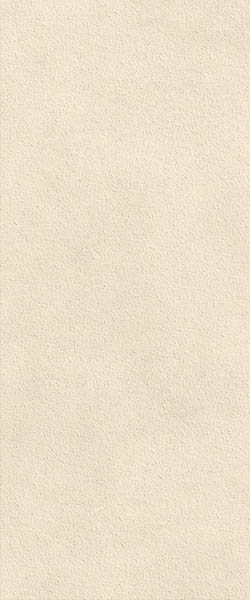 Настенная плитка Boost Expression Grain Shell (AYTU) 50x120 от Atlas Concorde (Италия)