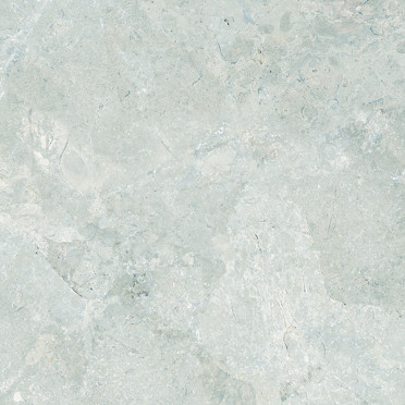 Керамогранит Legend E-5001/MR рект. 60x60x0.9 от Dako (Россия)