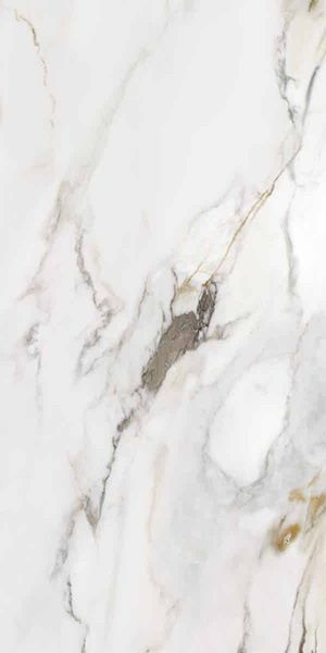 Керамогранит MARMO E PIETRA MACCHIA ANTICA LAPP.RETT. (163103) 60x120 от AVA Ceramica (Италия)