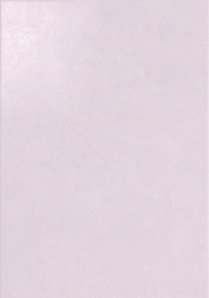 Настенная плитка PROVENCE AIX-L (12853) 33x47 от Peronda (Испания)