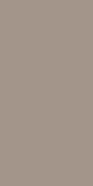 Керамогранит TORNARES ZUMAIA GREIGE REC ( под заказ) 60x120 от TAU Ceramica (Испания)