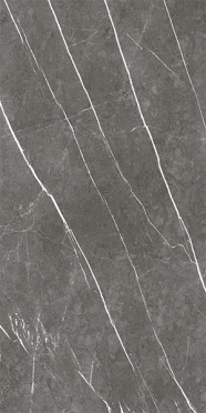 Керамогранит MUSEUM GREYSTONE Argent/EP (23459) 60x120 от Museum (Испания)