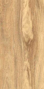 Керамогранит TAIGA LIGHT MATT+CARVING IT (ITL84095) 60x120 от Gresant (Индия)