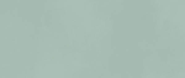 Керамогранит Boost Color Jade (AKM6) 50x120 от Atlas Concorde (Италия)