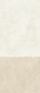 Керамогранит Boost Expression Duo Camel 6mm (AYSN) 120x278 от Atlas Concorde (Италия)