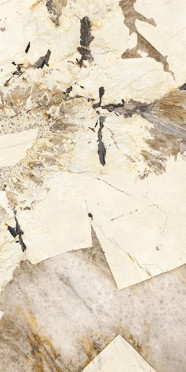 Керамогранит Marmi Classici Patagonia lapp. rett. (UM6P157691) 60x120 от Ariostea (Италия)