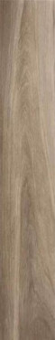 Керамогранит JUST COLOR Brown (58603N) 20x120 от Gardenia Orchidea (Италия)