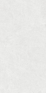 Керамогранит Stone Stonhenge Grey Matt (N40031) 60x120 от Neodom (Индия)